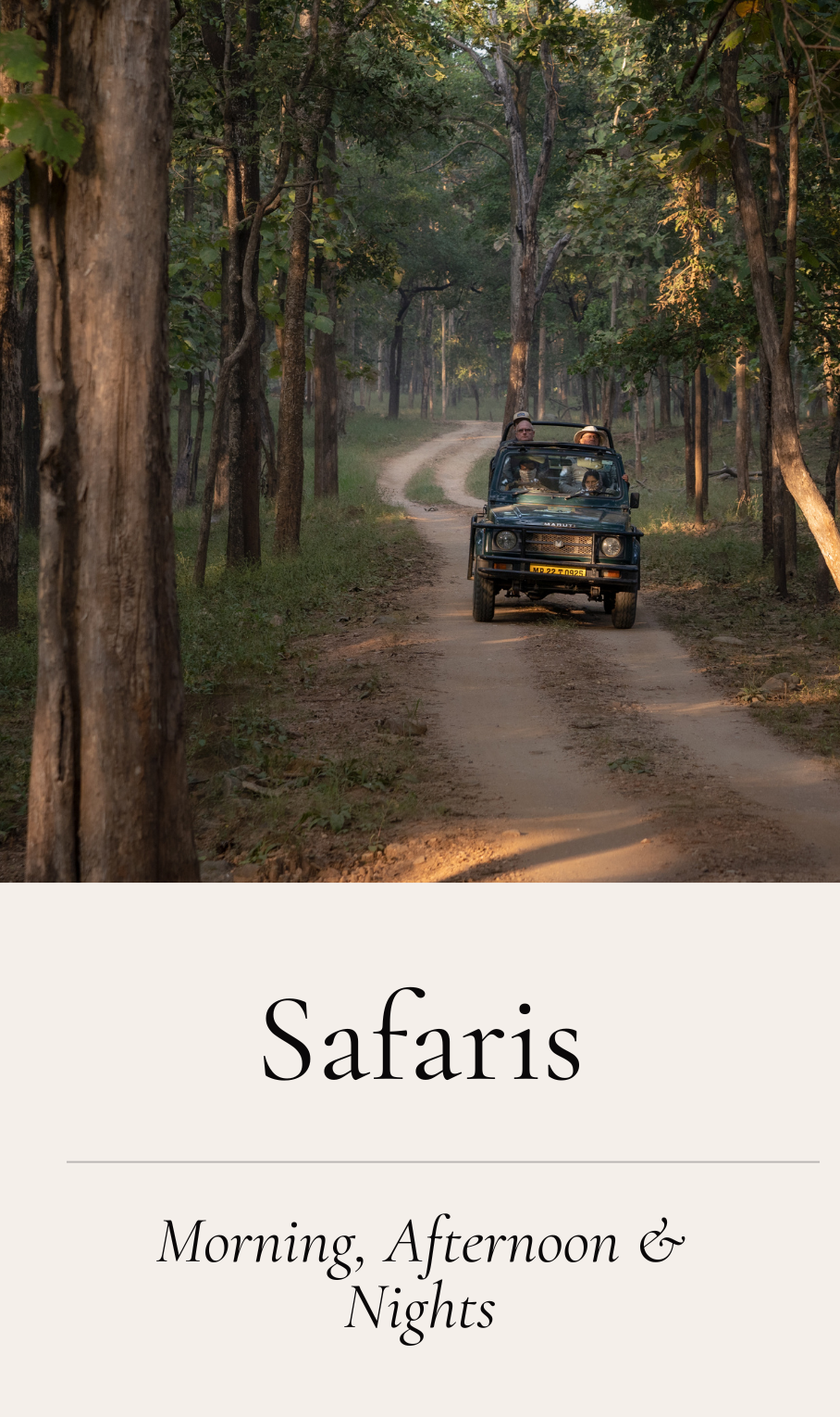 Safaris